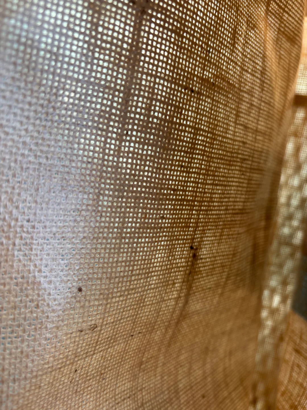 Summer Breeze Jute Tote - 4 options