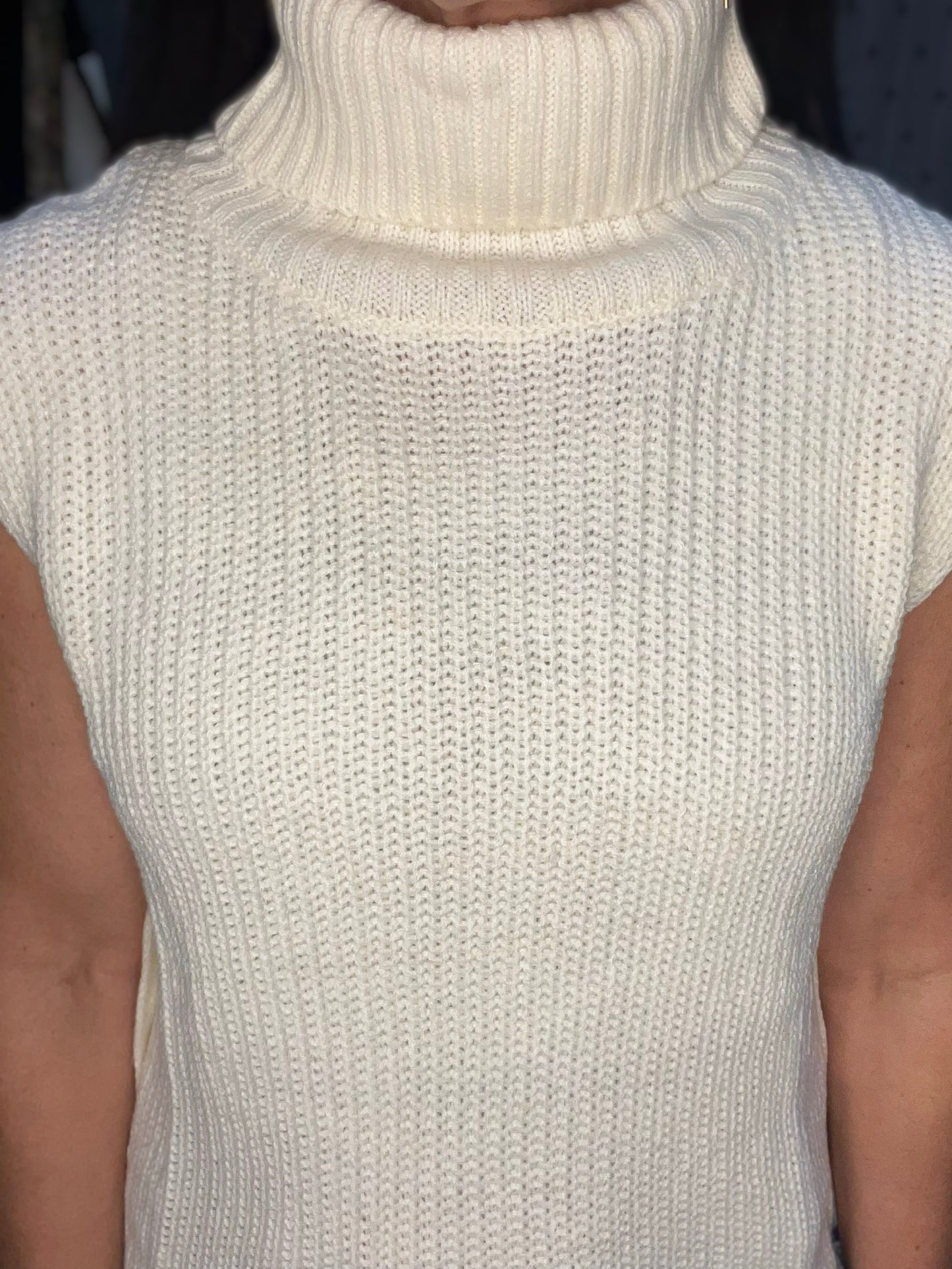 Carina Turtleneck Sleeveless Sweater